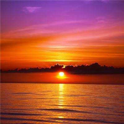 乐鱼app(中国体育)官方网站手机app下载