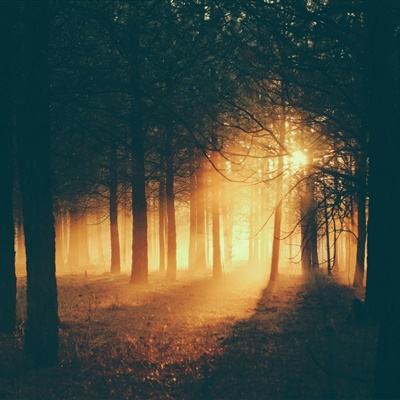 火狐体育下载app手机app下载