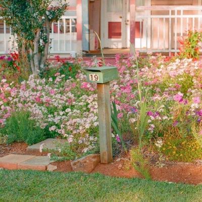 赏金女王免费安卓下载